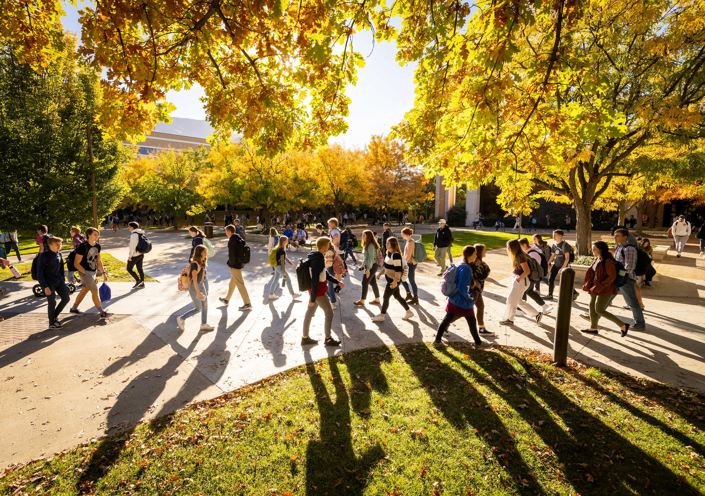 Panorama view of students walking across campus