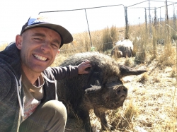 Scott Taylor and a large pig in a pig pen