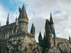 Students in ExDM 490R learn about popular attractions in the experience economy, such as Universal Studios’ The Wizarding World of Harry Potter.