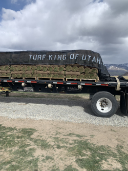 The business that King operated last summer, the Turf King, moved a semitruck full of sod each day from Preston, Idaho, to Utah County. Photo courtesy of Adam King.