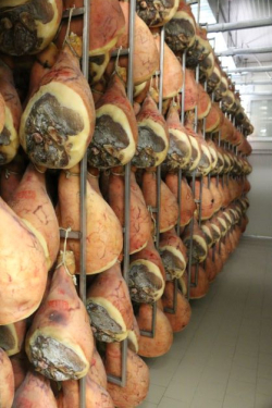 The Parma Ham factory that the study abroad group visited in Italy. Photo courtesy of Greg Anderson.