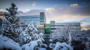 The Tanner Building, with snow-laden trees in front, reflects sunset