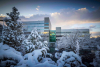 The Tanner Building, with snow-laden trees in front, reflects sunset